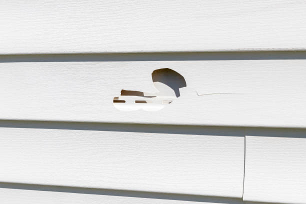 Best Fascia and Soffit Installation  in White Plains, NC